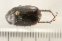  ( - 08OEC-186)  @14 [ ] CreativeCommons - Attribution (2008) Unspecified Centre for Biodiversity Genomics