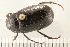  ( - 08OEC-187)  @14 [ ] CreativeCommons - Attribution (2008) Unspecified Centre for Biodiversity Genomics
