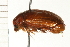  ( - 08OEC-084)  @13 [ ] CreativeCommons - Attribution (2008) Unspecified Centre for Biodiversity Genomics