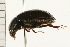  ( - 08OEC-101)  @13 [ ] CreativeCommons - Attribution (2008) Unspecified Centre for Biodiversity Genomics