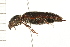  ( - 08OEC-108)  @14 [ ] CreativeCommons - Attribution (2008) Unspecified Centre for Biodiversity Genomics