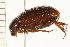  ( - 08OEC-183)  @13 [ ] CreativeCommons - Attribution (2008) Unspecified Centre for Biodiversity Genomics