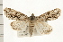  ( - 08OEC-069)  @13 [ ] CreativeCommons - Attribution (2008) Unspecified Centre for Biodiversity Genomics