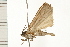  ( - 08OEC-138)  @12 [ ] CreativeCommons - Attribution (2008) Unspecified Centre for Biodiversity Genomics