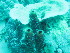  (Theonellidae - S_102)  @11 [ ] CreativeCommons - Attribution Non-Commercial Share-Alike (2015) Unspecified King Abdullah University of Science and Technology