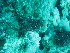 ( - S_104)  @11 [ ] CreativeCommons - Attribution Non-Commercial Share-Alike (2015) Unspecified King Abdullah University of Science and Technology