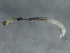  ( - 09PROBE-02165)  @12 [ ] CreativeCommons - Attribution (2009) Unspecified Centre for Biodiversity Genomics