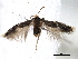  ( - BIOUG16764-D09)  @13 [ ] CreativeCommons - Attribution (2014) CBG Photography Group Centre for Biodiversity Genomics