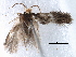  ( - BIOUG16764-D10)  @13 [ ] CreativeCommons - Attribution (2014) CBG Photography Group Centre for Biodiversity Genomics