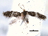  ( - BIOUG16764-E01)  @13 [ ] CreativeCommons - Attribution (2014) CBG Photography Group Centre for Biodiversity Genomics