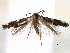  ( - BIOUG16764-G08)  @13 [ ] CreativeCommons - Attribution (2014) CBG Photography Group Centre for Biodiversity Genomics