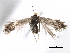  ( - BIOUG16764-G09)  @14 [ ] CreativeCommons - Attribution (2014) CBG Photography Group Centre for Biodiversity Genomics