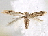  ( - BIOUG16764-H08)  @13 [ ] CreativeCommons - Attribution (2014) CBG Photography Group Centre for Biodiversity Genomics