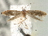  ( - BIOUG16764-H10)  @13 [ ] CreativeCommons - Attribution (2014) CBG Photography Group Centre for Biodiversity Genomics