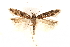  ( - BIOUG20646-A06)  @14 [ ] CreativeCommons - Attribution (2015) CBG Photography Group Centre for Biodiversity Genomics