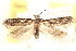  ( - BIOUG20646-D10)  @14 [ ] CreativeCommons - Attribution (2015) CBG Photography Group Centre for Biodiversity Genomics