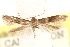  ( - BIOUG21233-B05)  @13 [ ] CreativeCommons - Attribution (2015) CBG Photography Group Centre for Biodiversity Genomics