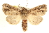  ( - BIOUG21233-F02)  @11 [ ] CreativeCommons - Attribution (2015) CBG Photography Group Centre for Biodiversity Genomics