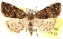  ( - BIOUG21233-H02)  @14 [ ] CreativeCommons - Attribution (2015) CBG Photography Group Centre for Biodiversity Genomics