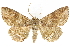  ( - BIOUG24422-B02)  @15 [ ] CreativeCommons - Attribution (2015) CBG Photography Group Centre for Biodiversity Genomics