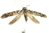  ( - BIOUG24422-C03)  @13 [ ] CreativeCommons - Attribution (2015) CBG Photography Group Centre for Biodiversity Genomics