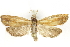  ( - BIOUG24422-D04)  @14 [ ] CreativeCommons - Attribution (2015) CBG Photography Group Centre for Biodiversity Genomics