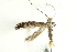  ( - BIOUG24422-D08)  @13 [ ] CreativeCommons - Attribution (2015) CBG Photography Group Centre for Biodiversity Genomics