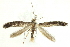  ( - BIOUG24422-D10)  @11 [ ] CreativeCommons - Attribution (2015) CBG Photography Group Centre for Biodiversity Genomics