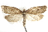  ( - BIOUG24422-H03)  @14 [ ] CreativeCommons - Attribution (2015) CBG Photography Group Centre for Biodiversity Genomics