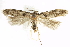  ( - BIOUG24422-H10)  @14 [ ] CreativeCommons - Attribution (2015) CBG Photography Group Centre for Biodiversity Genomics