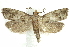  ( - BIOUG24423-A02)  @14 [ ] CreativeCommons - Attribution (2015) CBG Photography Group Centre for Biodiversity Genomics