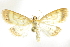  ( - BIOUG24423-E04)  @14 [ ] CreativeCommons - Attribution (2015) CBG Photography Group Centre for Biodiversity Genomics