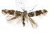  ( - BIOUG24423-E09)  @14 [ ] CreativeCommons - Attribution (2015) CBG Photography Group Centre for Biodiversity Genomics