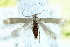  ( - BIOUG26009-D07)  @14 [ ] CreativeCommons - Attribution (2016) CBG Photography Group Centre for Biodiversity Genomics