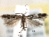  ( - BIOUG30799-B03)  @14 [ ] CreativeCommons - Attribution (2016) CBG Photography Group Centre for Biodiversity Genomics