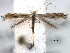  ( - BIOUG30799-D11)  @11 [ ] CreativeCommons - Attribution (2016) CBG Photography Group Centre for Biodiversity Genomics