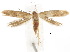  ( - BIOUG34129-E10)  @11 [ ] CreativeCommons - Attribution (2018) CBG Photography Group Centre for Biodiversity Genomics