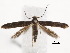  ( - BIOUG34129-E11)  @11 [ ] CreativeCommons - Attribution (2018) CBG Photography Group Centre for Biodiversity Genomics