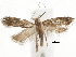  ( - BIOUG34129-E12)  @15 [ ] CreativeCommons - Attribution (2018) CBG Photography Group Centre for Biodiversity Genomics