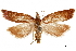  ( - BIOUG44120-A10)  @13 [ ] CreativeCommons - Attribution (2019) CBG Photography Group Centre for Biodiversity Genomics