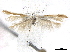  ( - BIOUG44120-C01)  @11 [ ] CreativeCommons - Attribution (2019) CBG Photography Group Centre for Biodiversity Genomics