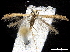  ( - BIOUG44120-D10)  @12 [ ] CreativeCommons - Attribution (2019) CBG Photography Group Centre for Biodiversity Genomics