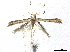  ( - BIOUG44120-D11)  @12 [ ] CreativeCommons - Attribution (2019) CBG Photography Group Centre for Biodiversity Genomics