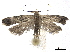  ( - BIOUG44120-G04)  @14 [ ] CreativeCommons - Attribution (2018) CBG Photography Group Centre for Biodiversity Genomics