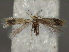  ( - BIOUG58043-G03)  @11 [ ] CreativeCommons - Attribution (2020) CBG Photography Group Centre for Biodiversity Genomics