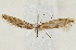  ( - BIOUG58043-G06)  @11 [ ] CreativeCommons - Attribution (2020) CBG Photography Group Centre for Biodiversity Genomics