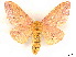  ( - BIOUG62319-A01)  @13 [ ] CreativeCommons - Attribution (2020) CBG Photography Group Centre for Biodiversity Genomics