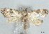  ( - BIOUG62319-E11)  @11 [ ] CreativeCommons - Attribution (2020) CBG Photography Group Centre for Biodiversity Genomics