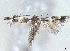  ( - BIOUG62319-F03)  @11 [ ] CreativeCommons - Attribution (2020) CBG Photography Group Centre for Biodiversity Genomics