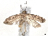  ( - BIOUG62319-H10)  @11 [ ] CreativeCommons - Attribution (2020) CBG Photography Group Centre for Biodiversity Genomics